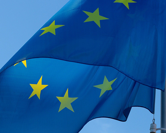 Die EU-Whistleblower-Richtlinie und ihre Folgen